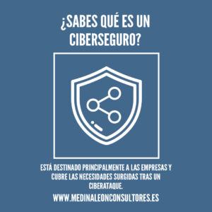 ciberseguro