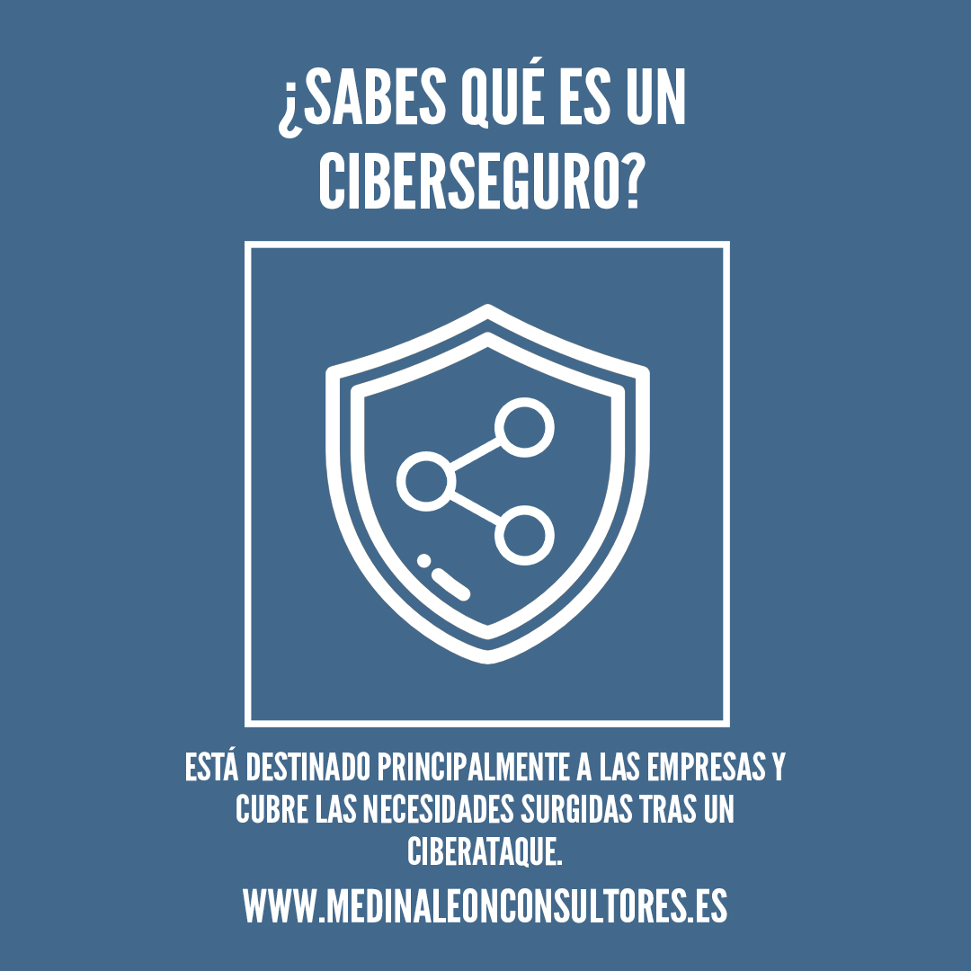 ciberseguro